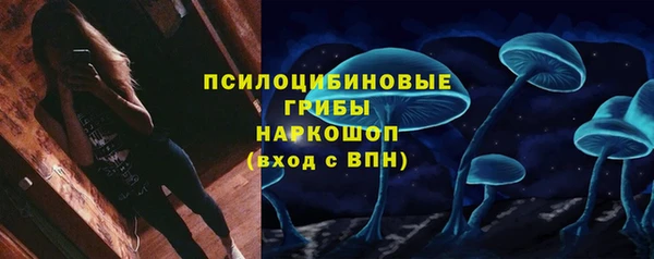 спиды Арсеньев