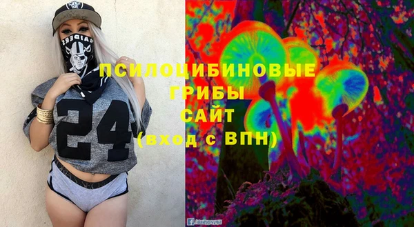 спиды Арсеньев