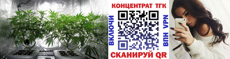 Дистиллят ТГК Wax  Кировск 