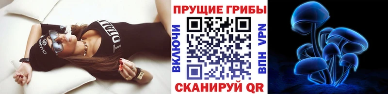Галлюциногенные грибы Psilocybine cubensis  Кировск 