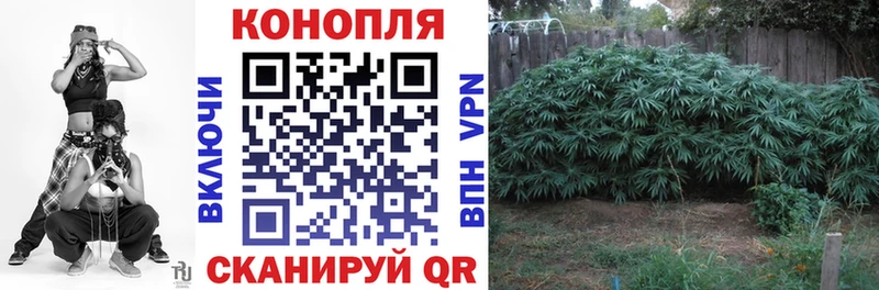 Шишки марихуана OG Kush Кировск